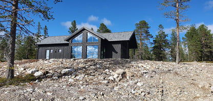 Modern house villa with a burnt wood outer facade and big windows